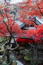 球探足球比分旧版-重拾经典，球探足球比分旧版——那些年我们追过的足球数据记忆